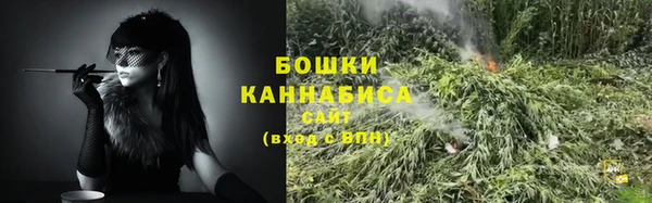 прущие грибы Арсеньев
