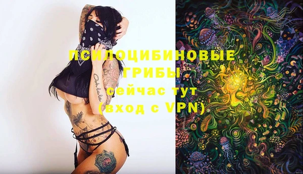 прущие грибы Арсеньев