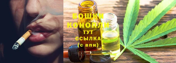 прущие грибы Арсеньев