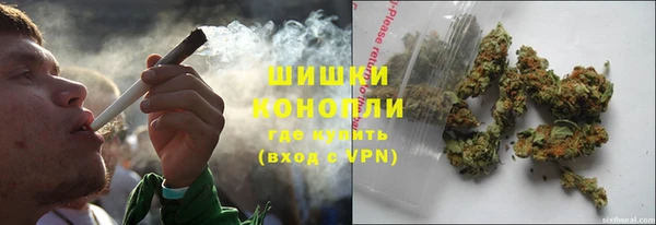 прущие грибы Арсеньев